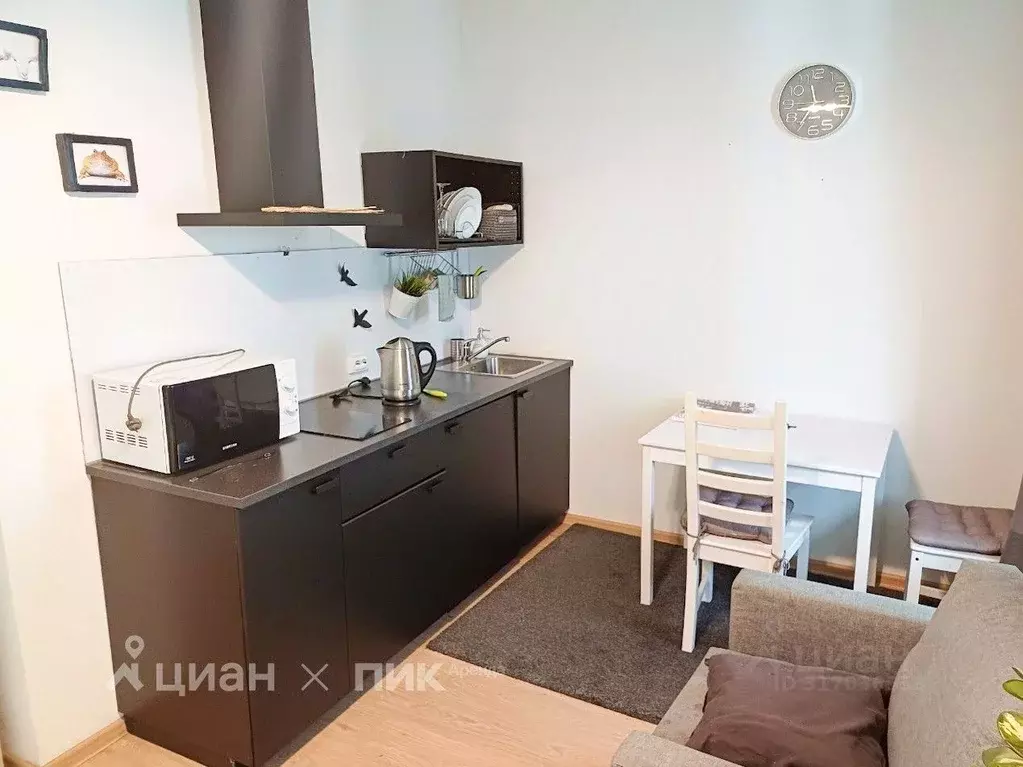 Студия Санкт-Петербург аллея Арцеуловская, 23к1 (28.0 м) - Фото 1