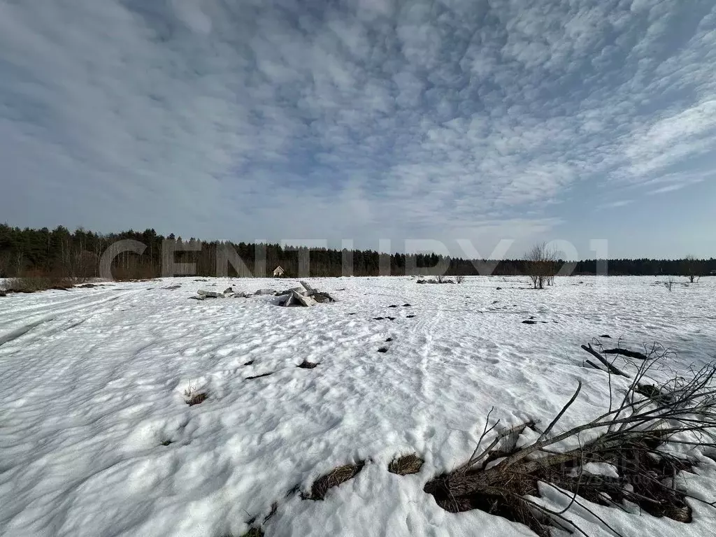 Участок в Ленинградская область, Отрадное Кировский район, пос. ... - Фото 2