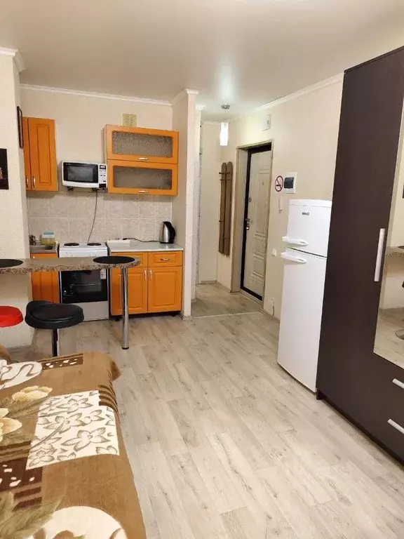 Студия Самарская область, Тольятти ул. 40 лет Победы, 43 (25.0 м) - Фото 2