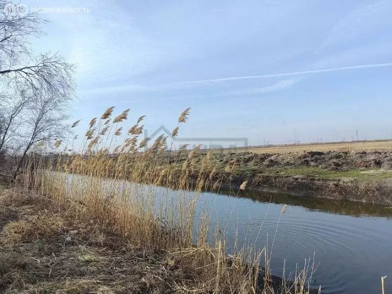 Участок в Ростов-на-Дону, садоводческое некоммерческое товарищество ... - Фото 0