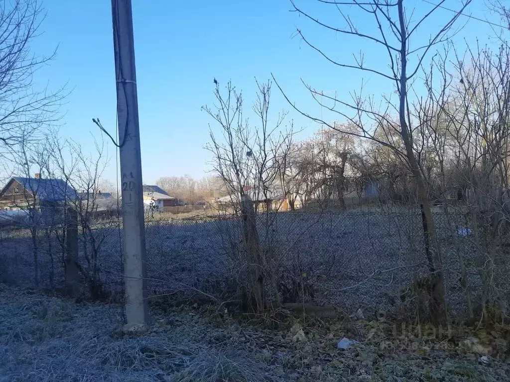 Участок в Псковская область, Остров ул. Освобождения (12.5 сот.) - Фото 1