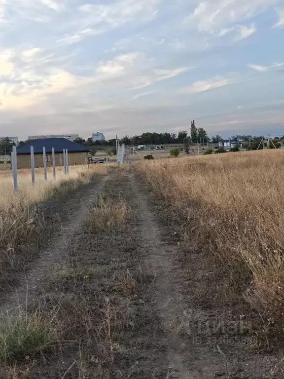 Участок в Крым, Симферопольский район, Родниковское с/пос, Содружество ... - Фото 2
