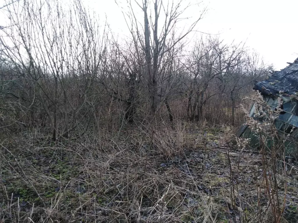 Участок в Тверская область, Торжок Машиностроитель-2 садоводческое ... - Фото 1