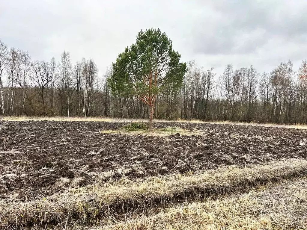Участок в Тульская область, Заокский район, Страховское с/пос, д. ... - Фото 1