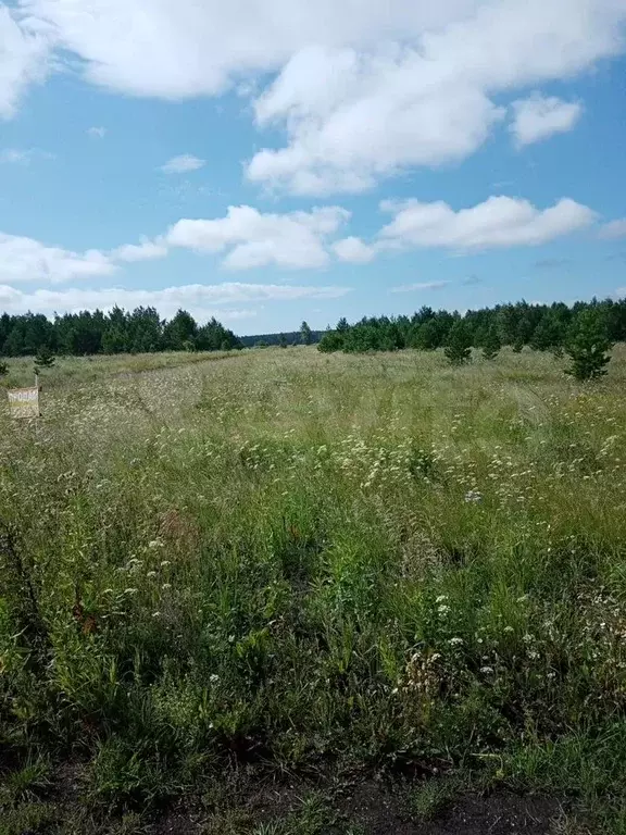 Участок 15 сот. (ИЖС) - Фото 0