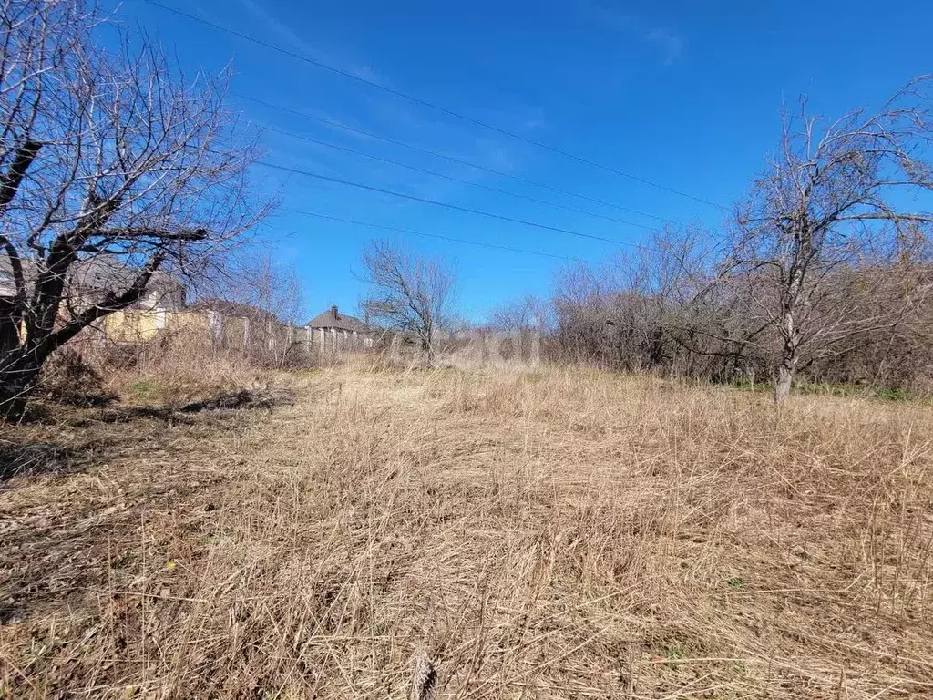 Участок в Белгородская область, Белгород Луч садовое товарищество,  ... - Фото 0