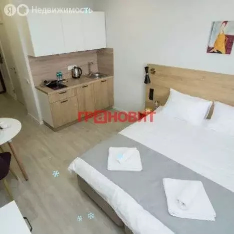 Квартира-студия: Новосибирск, улица Кирова, 113/2 (22.5 м) - Фото 0