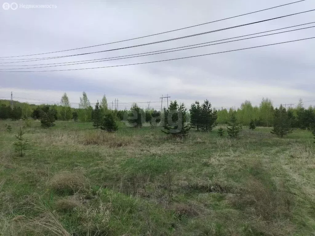 Участок в Сосновский округ, село Архангельское (500 м) - Фото 1