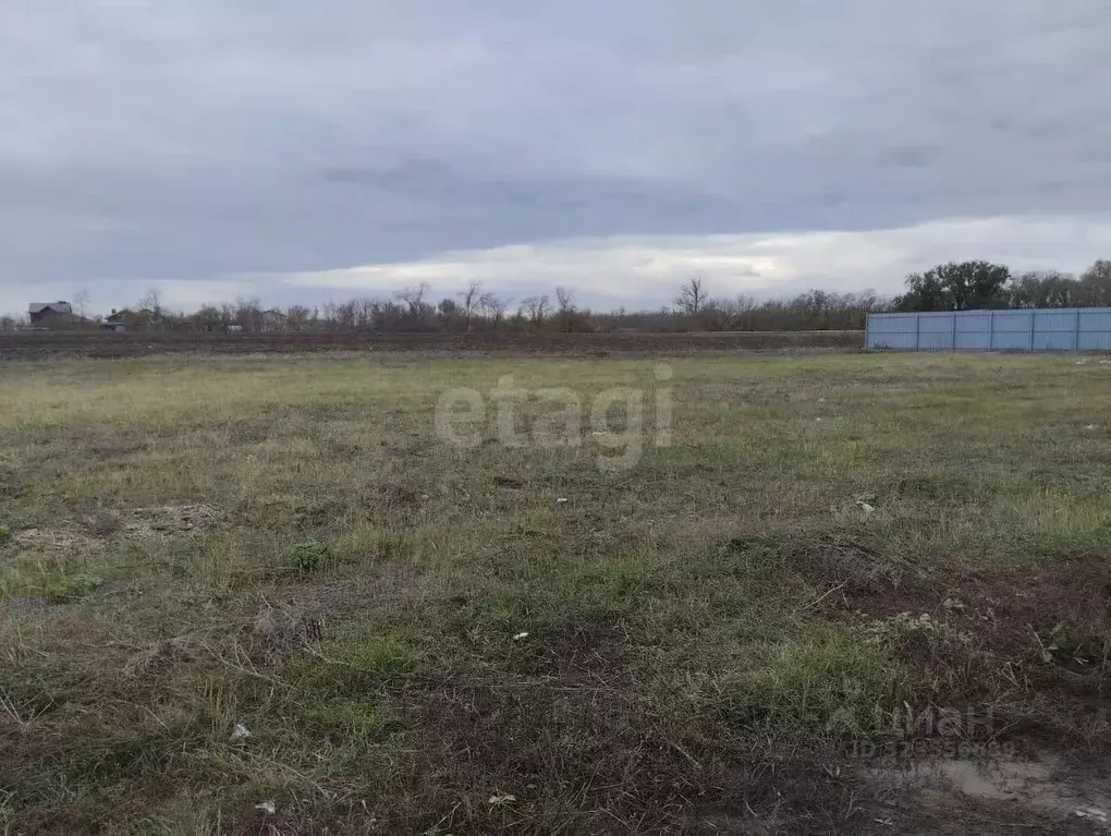 Участок в Ростовская область, Азовский район, Обильненское с/пос, пос. ... - Фото 1