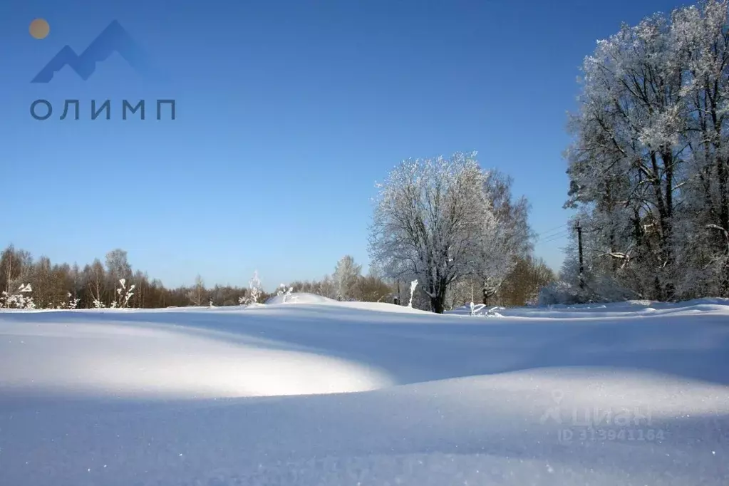 Участок в Вологодская область, д. Елгино  (11.9 сот.) - Фото 0