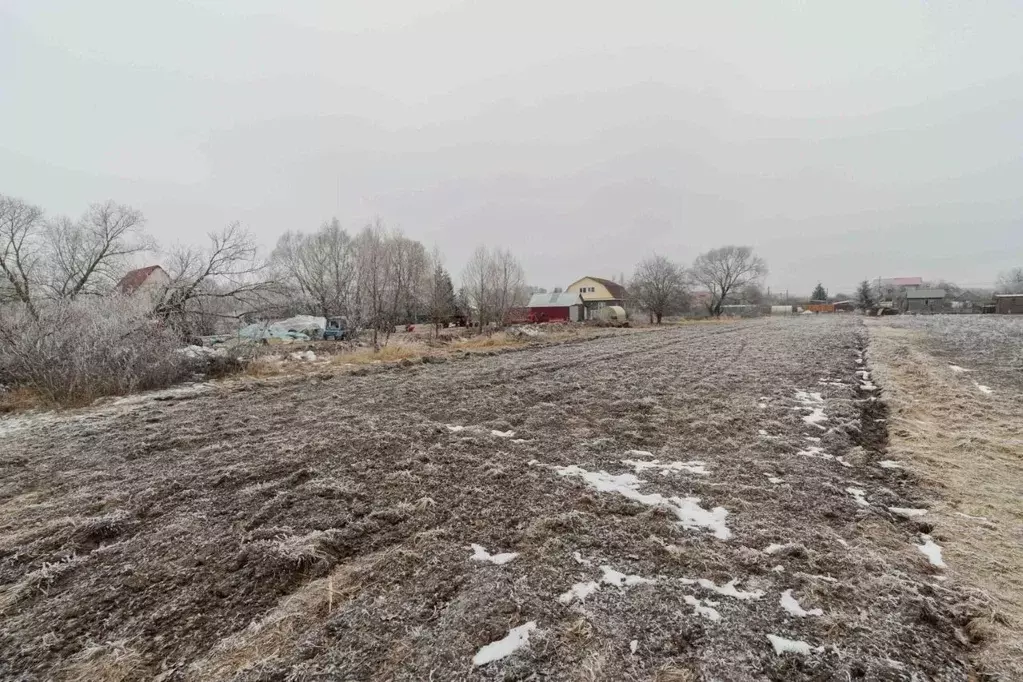 Участок в Владимирская область, Суздальский район, с. Новоалександрово ... - Фото 1