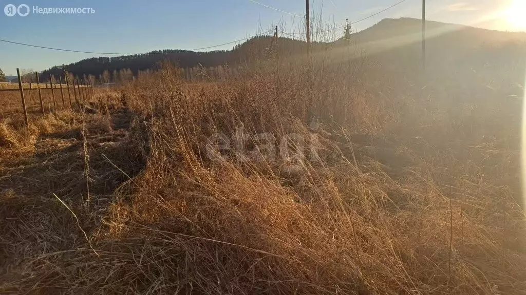 Участок в село Кызыл-Озек, Майминская улица (10 м) - Фото 2