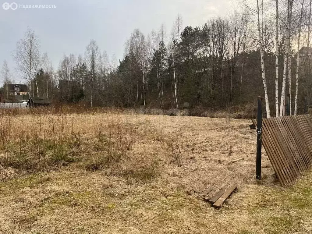 Участок в городской посёлок Будогощь, СНТ Ракитино, линия III (9.1 м) - Фото 2