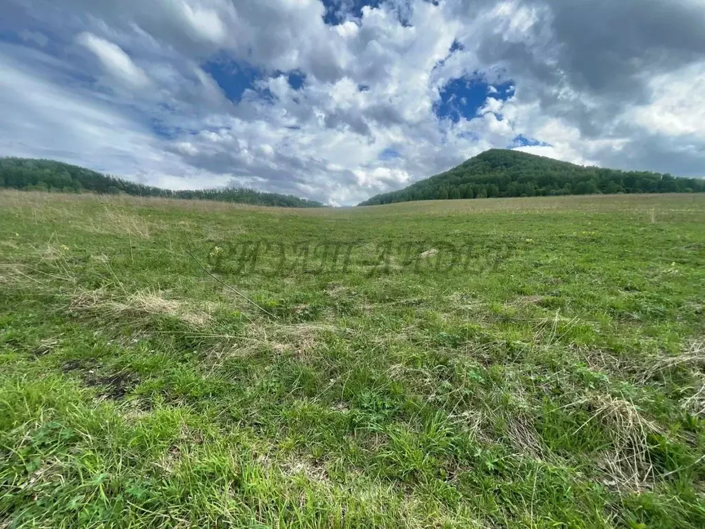 Участок в Алтайский край, Алтайский район, Бирюзовая Катунь тер., ... - Фото 1