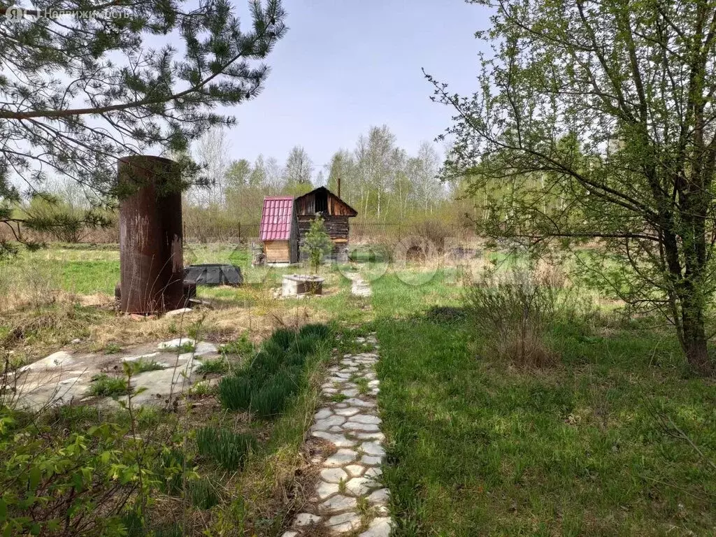 Дом в Колыванский район, Соколовский сельсовет, остров Рыбачий (60 м) - Фото 1