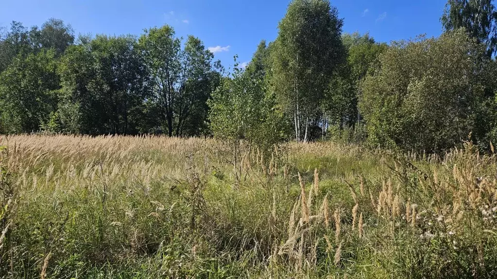 Участок в Московская область, Домодедово городской округ, д. Бехтеево, ... - Фото 0