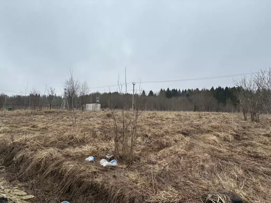 Участок в Ленинградская область, Ломоносовский район, Лопухинское ... - Фото 2