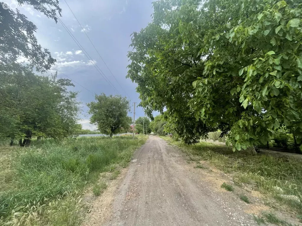 Участок в Ясенская, Морская улица (16.4 м) - Фото 1
