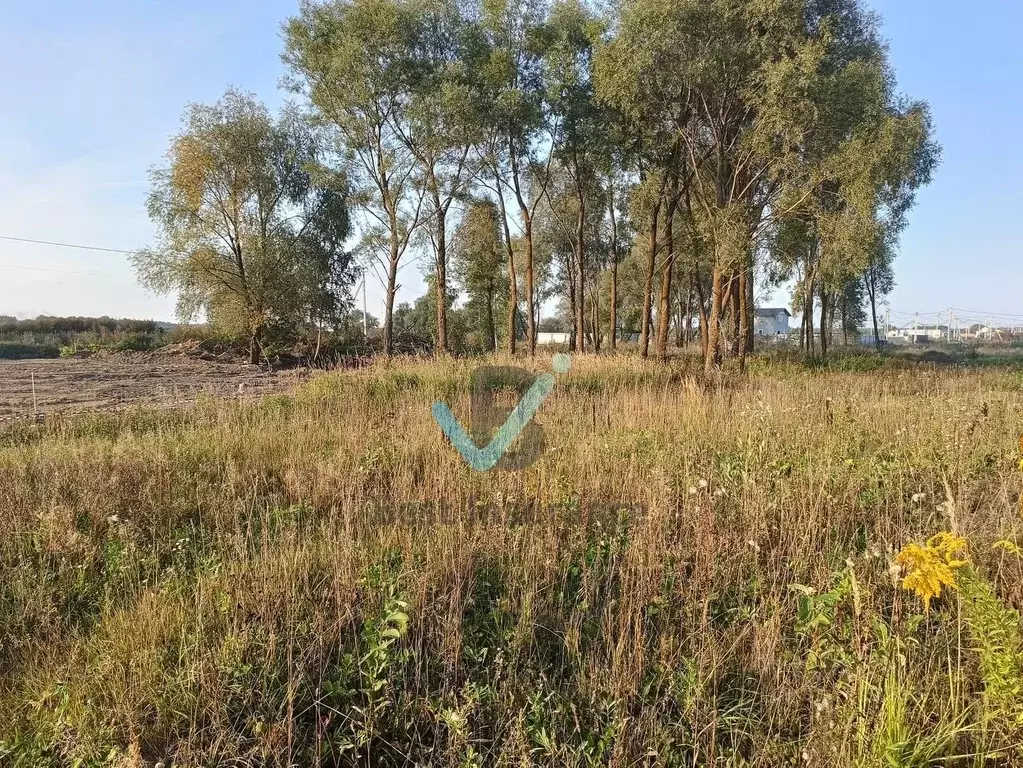 Участок в Московская область, Домодедово городской округ, с. Юсупово ... - Фото 0