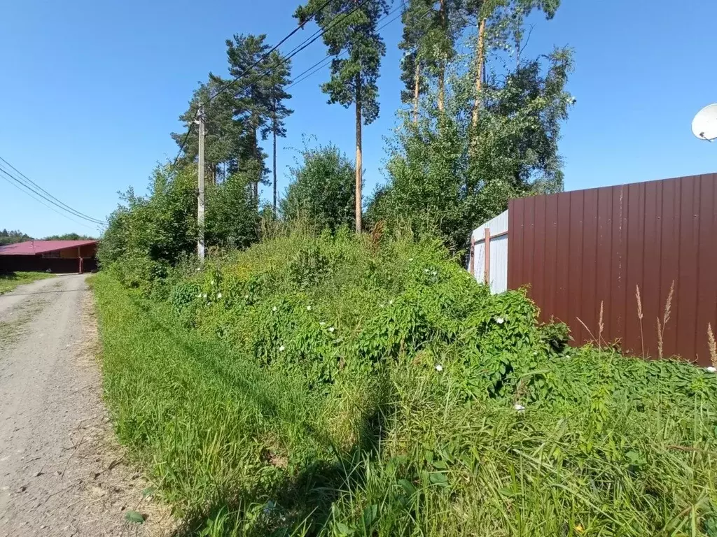 Участок в Ленинградская область, Сертолово Всеволожский район, Черная ... - Фото 0