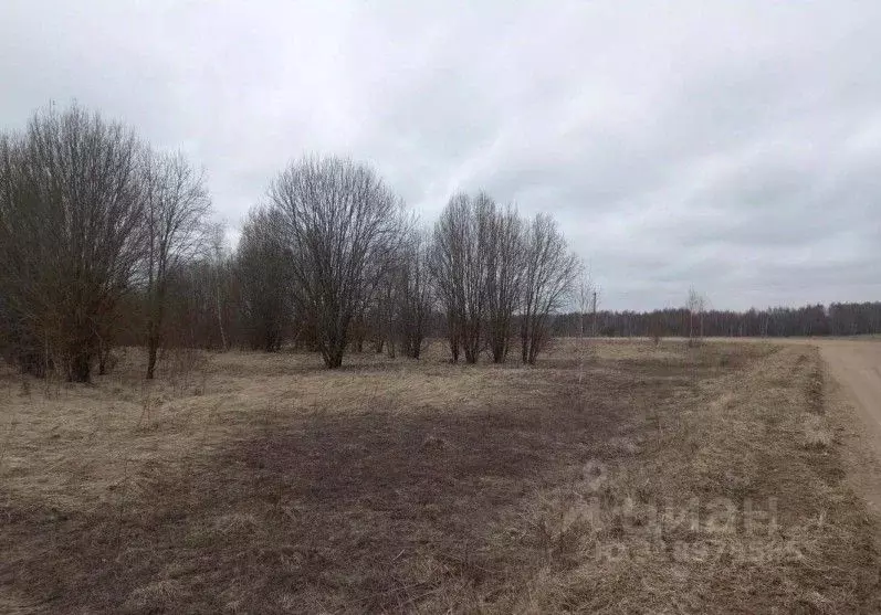 Участок в Московская область, Дмитровский муниципальный округ, д. ... - Фото 0
