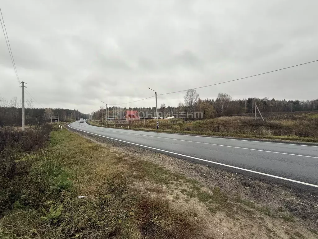 Участок в Владимирская область, Гусь-Хрустальный муниципальный округ, ... - Фото 2