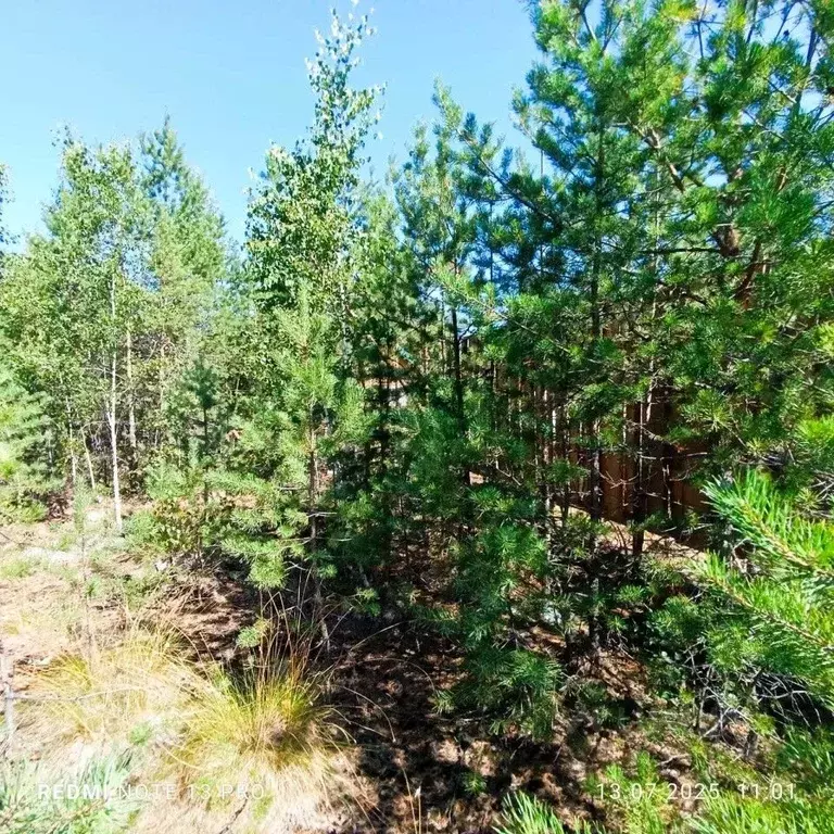 Участок в Свердловская область, Екатеринбург Новый Свет СНТ,  (10.0 ... - Фото 1