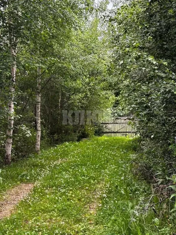 Дом в Вологодская область, с. Устье ул. Садовая (48 м) - Фото 1