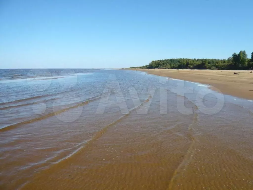 Купить Дом На Рыбинском Водохранилище