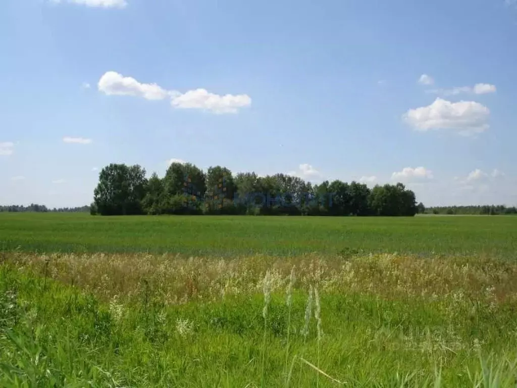 Участок в Нижегородская область, Богородский муниципальный округ, д. ... - Фото 2