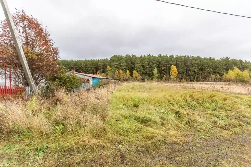 Участок в Тюменская область, Тобольский муниципальный округ, с. ... - Фото 1