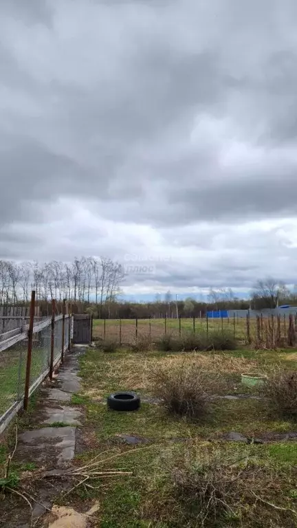 Участок в Нижегородская область, Богородский муниципальный округ, д. ... - Фото 1