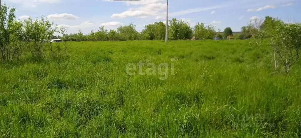 Участок в Алтайский край, Белокуриха ул. Нижняя (15.1 сот.) - Фото 1