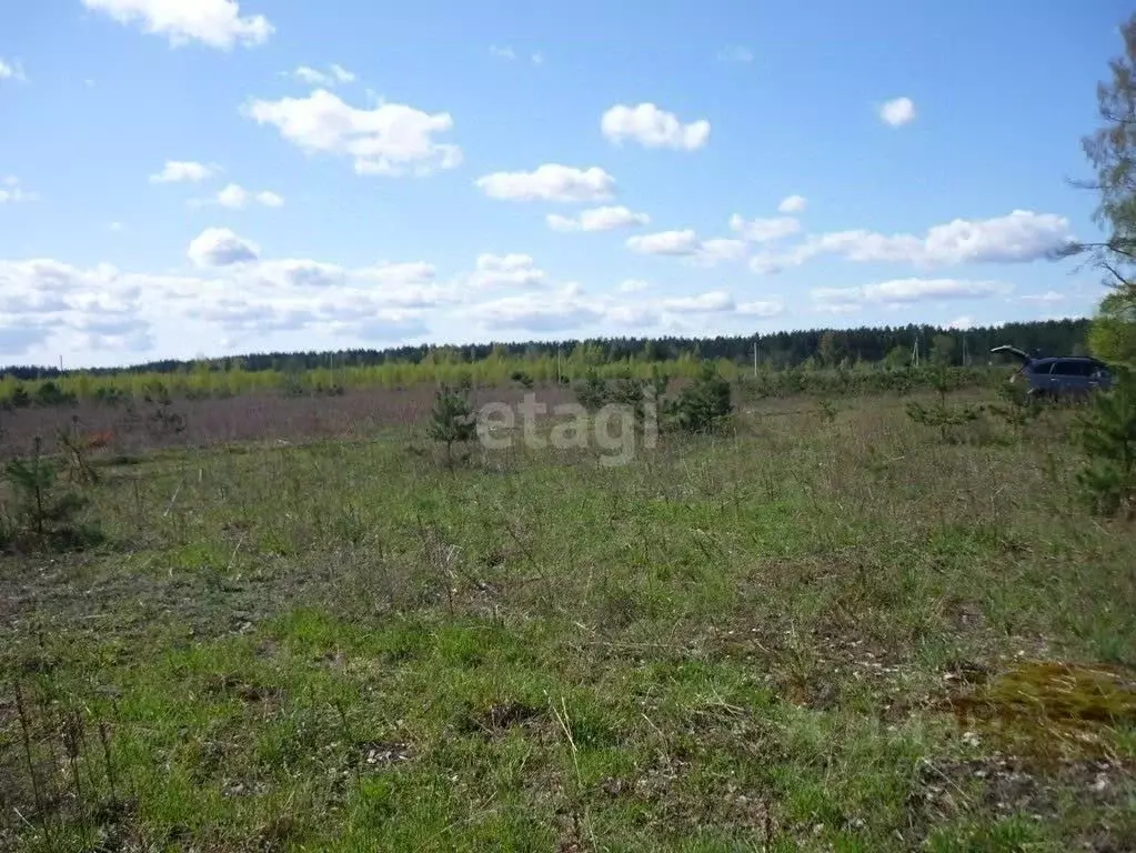 Участок в Архангельская область, Котласский муниципальный округ, д. ... - Фото 1