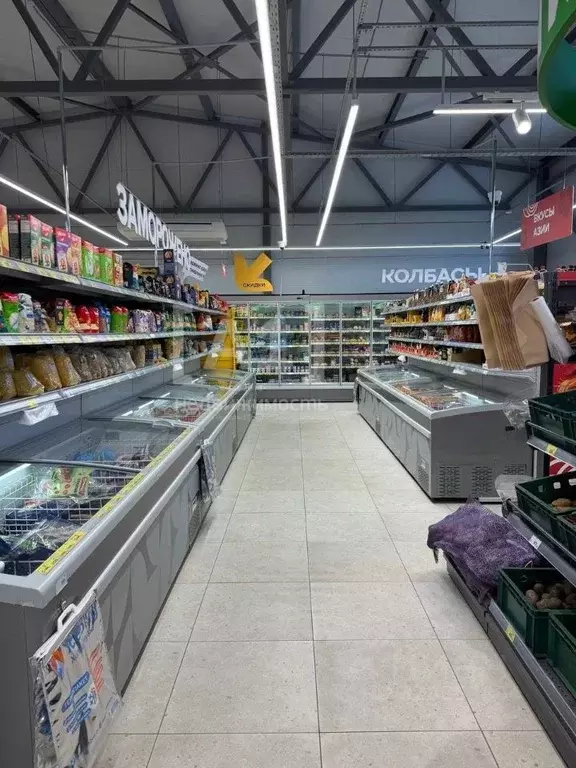 Помещение свободного назначения в Челябинская область, Сосновский ... - Фото 2