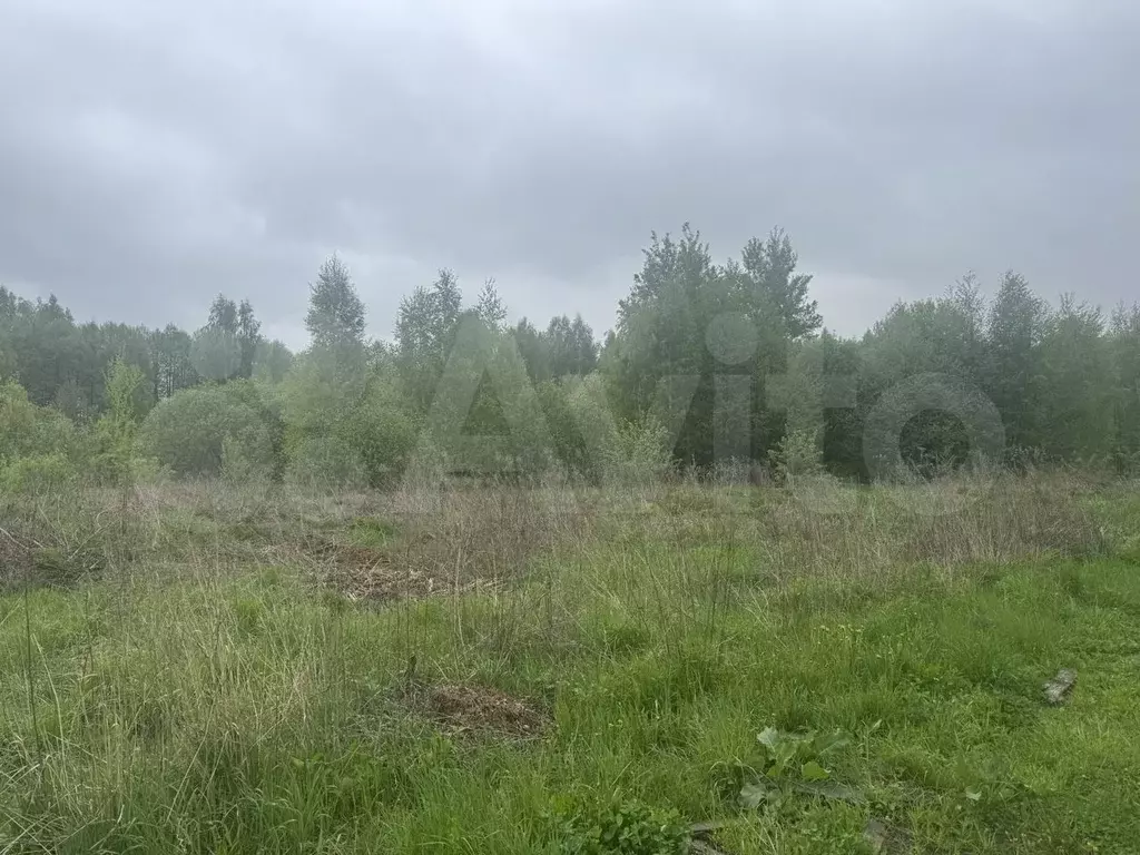 Участок 11 сот. (ИЖС) - Фото 0