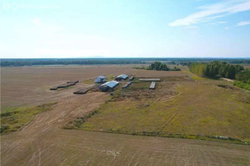Участок в Челябинская область, Каслинский муниципальный округ, село ... - Фото 1