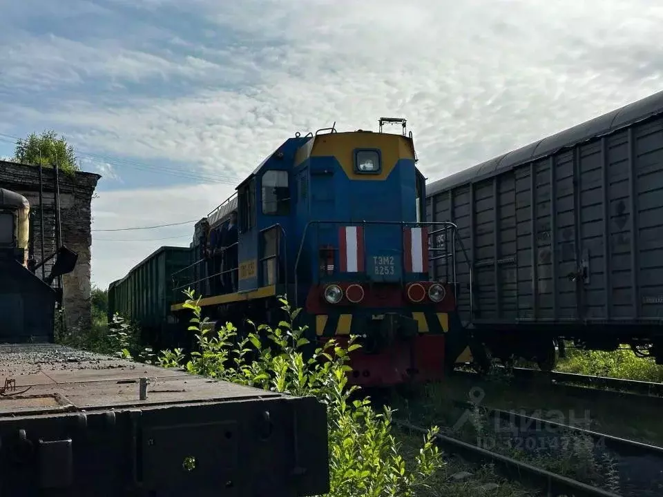 Помещение свободного назначения в Челябинская область, Кусинский ... - Фото 1