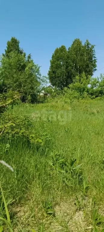 Участок в Алтайский край, Первомайский район, с. Санниково, Овощевод ... - Фото 1