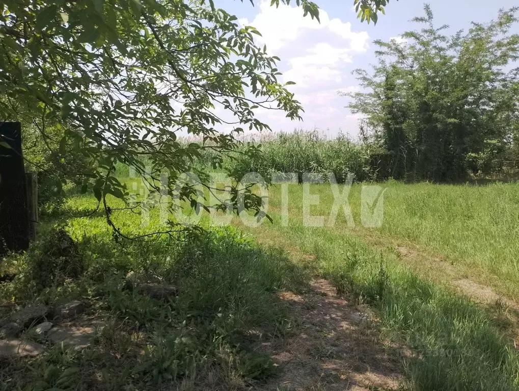 Участок в Краснодарский край, Каневской район, Стародеревянковское ... - Фото 1