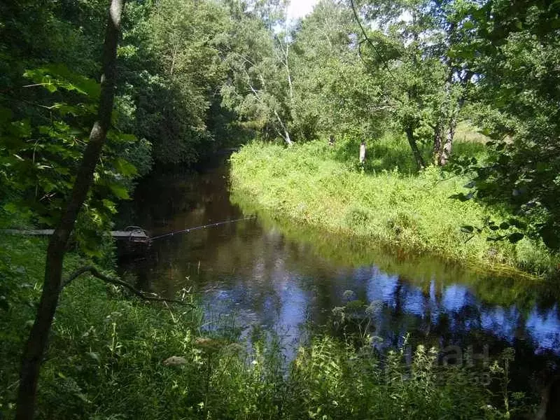 Купить Участок В Гдовском Районе Псковской