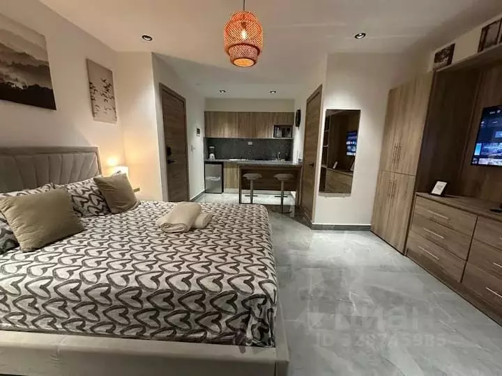 1-к кв. Краснодарский край, Сочи ул. Черноморская, 3 (22.0 м) - Фото 2