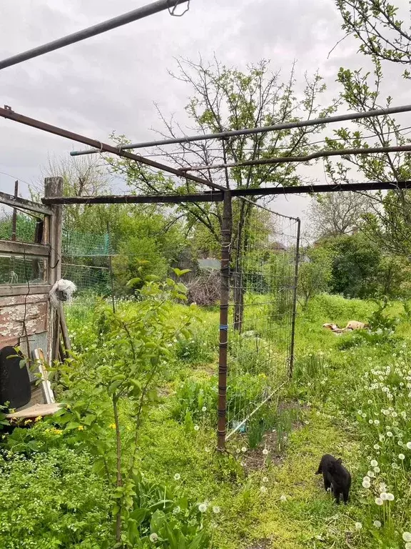 Дом 84 м на участке 6,5 сот. - Фото 1