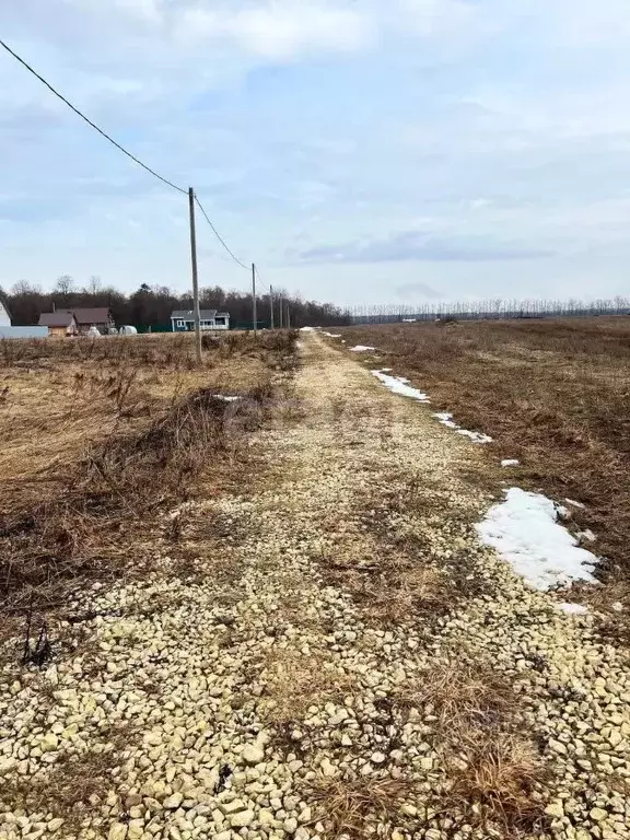 Участок в Ленинградская область, Гатчинский муниципальный округ, д. ... - Фото 1