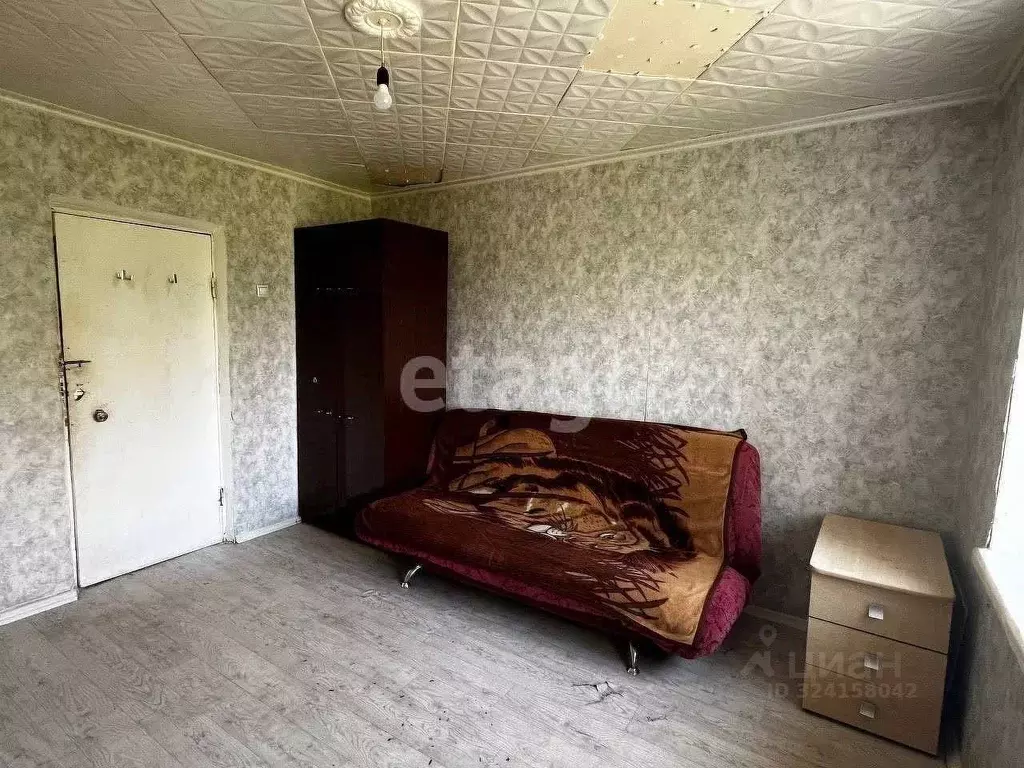 Комната Пермский край, Пермь ул. Емельяна Ярославского, 10/2 (14.0 м) - Фото 2