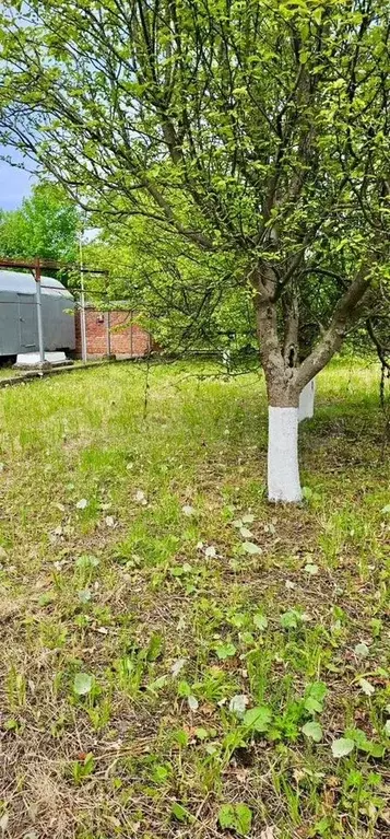 Участок 9,4 сот. (ИЖС) - Фото 1