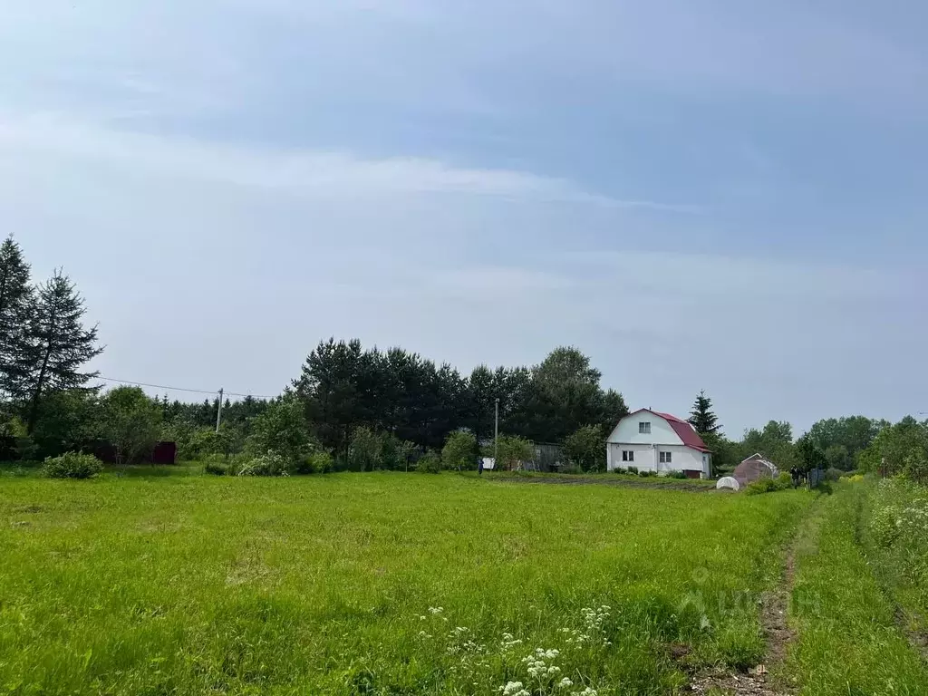 Участок в Псковская область, Псковский район, Ядровская волость, д. ... - Фото 2