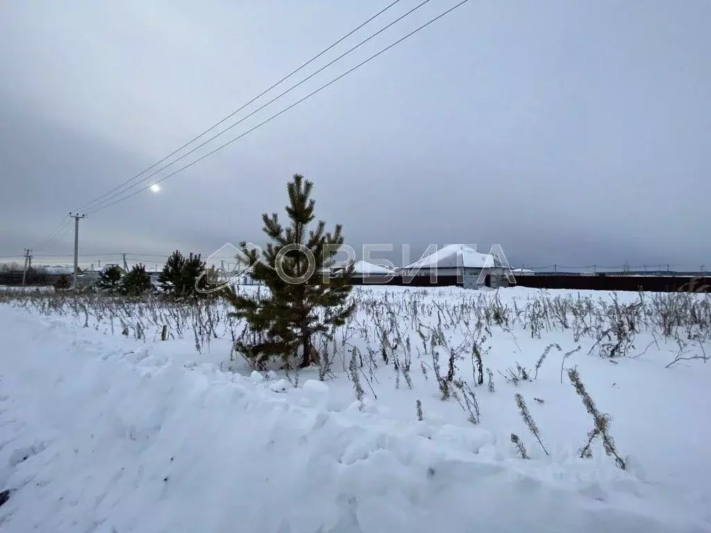 Участок в Тюменская область, Тюменский район, д. Елань 14 (7.0 сот.) - Фото 1