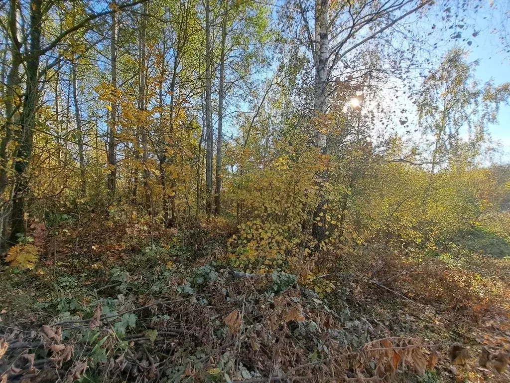 Участок в Московская область, Кашира городской округ, д. Завалье-1  ... - Фото 0