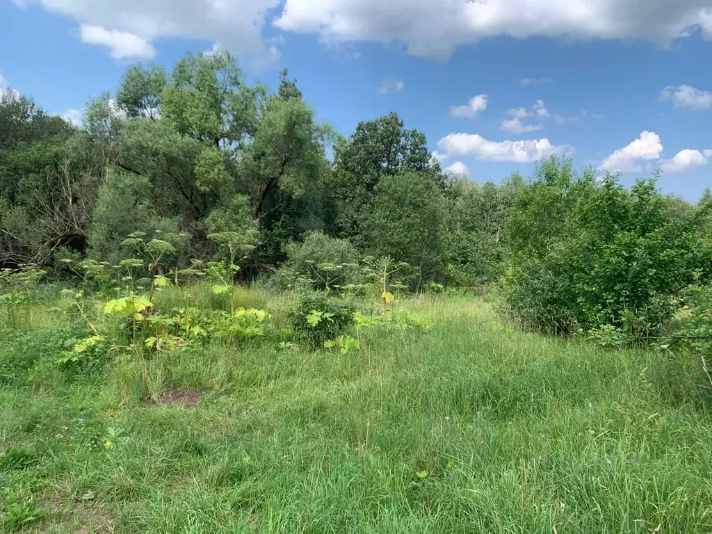 Участок в Московская область, Истра муниципальный округ, с. Онуфриево  ... - Фото 1